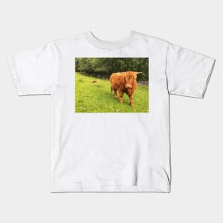 Scottish Highland Cattle Calf 2064 Kids T-Shirt